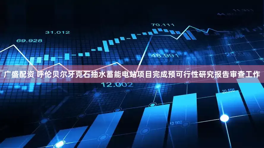 广盛配资 呼伦贝尔牙克石抽水蓄能电站项目完成预可行性研究报告审查工作