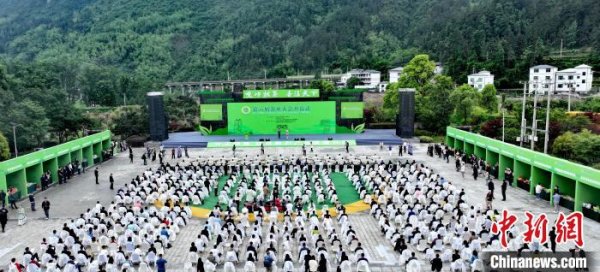 股王配资 第六届茶业大会在贵州江口开幕 聚焦茶产业创新发展
