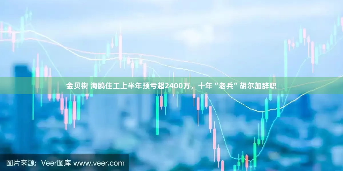 金贝街 海鸥住工上半年预亏超2400万，十年“老兵”胡尔加辞职